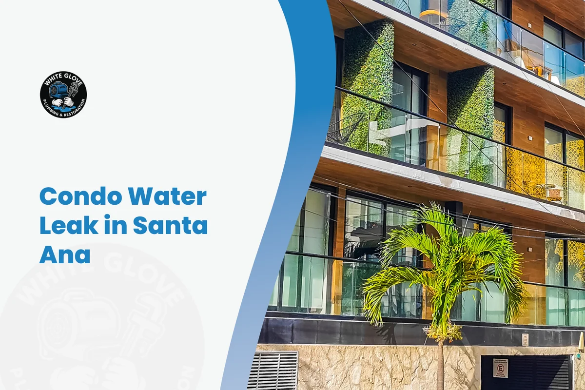 Condo Water Leak in Orange County: How to Handle HOA, Insurance, and Repairs