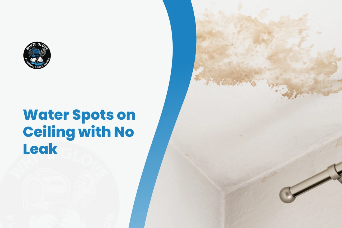 Top 10 Causes of Water Damage in Orange County Homes