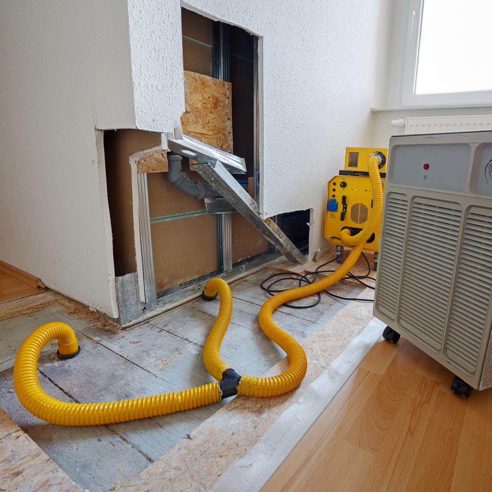 Professional Water Damage Restoration