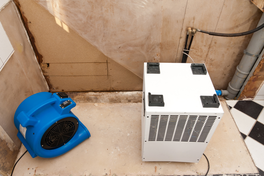 Restoration,Of,Water,Damage,With,Fan,And,Dryer