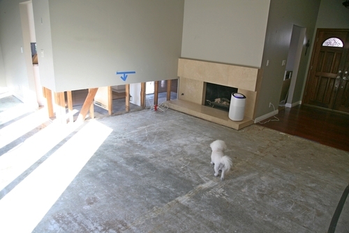 Flood-Damage-Restoration-Services
