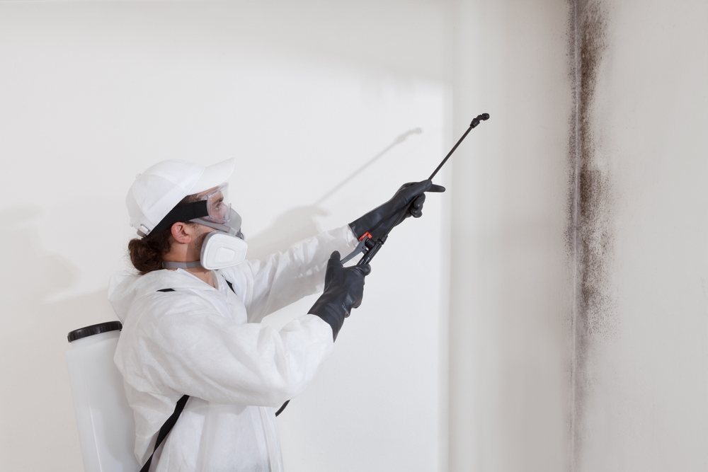 Mold Remediation