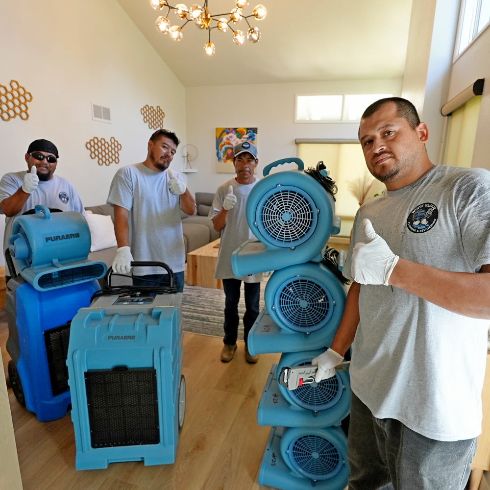 Professional Water Damage Restoration
